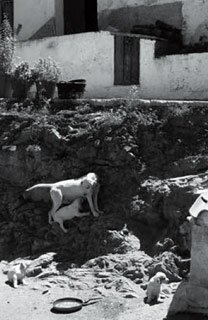 Un?immagine dalla mostra "Frammenti e rovine" fotografie di Gabriella Peyrot Un?immagine dalla mostra "Frammenti e rovine" fotografie di Gabriella Peyrot