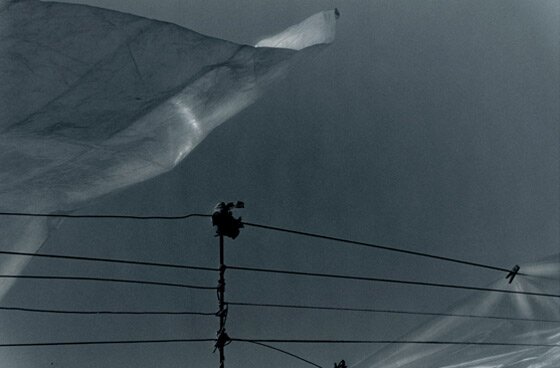 Una delle opere esposte Una delle opere esposte